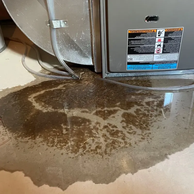 Pipe Burst and Leak Restoration in South Windham, ME
